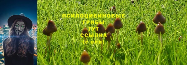 экстази Алзамай